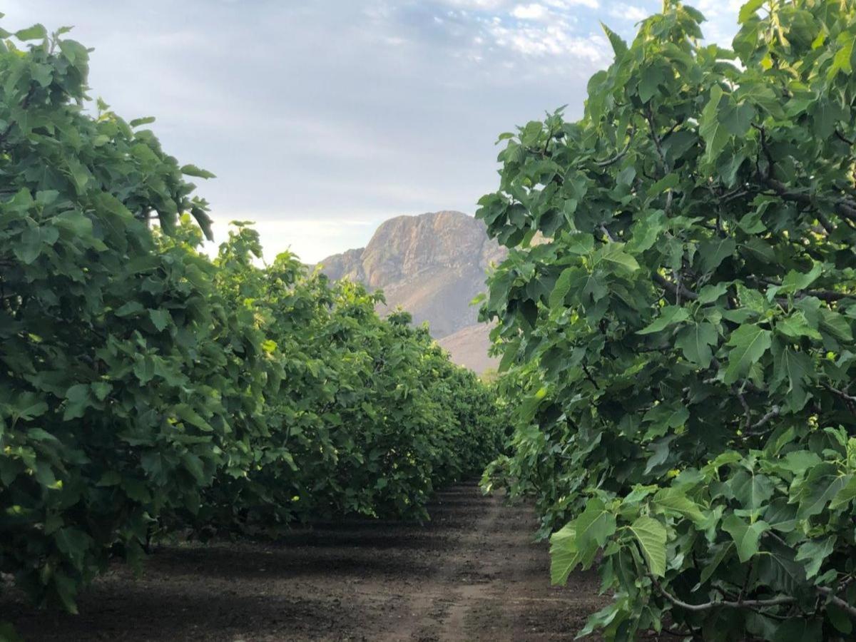 프린스앨버트 Weltevrede Fig Farm 아파트 외부 사진